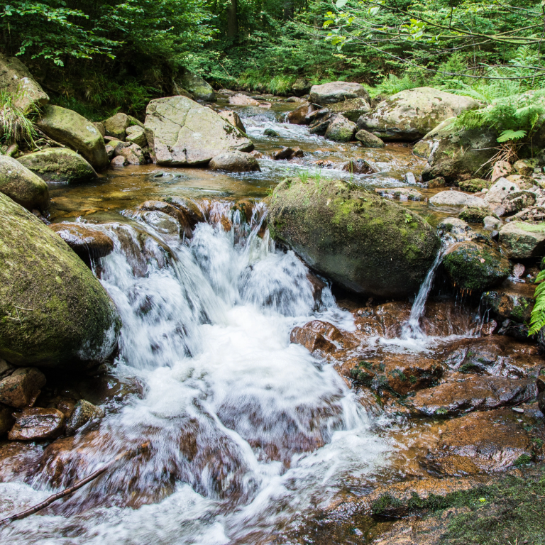 Bodetal Ein klarer Bach fließt über steinerne Stellen in einem grünen Wald.